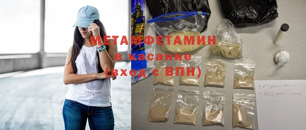 хмурый Пересвет