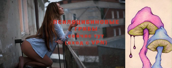 хмурый Пересвет