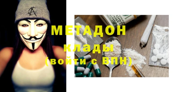 хмурый Пересвет