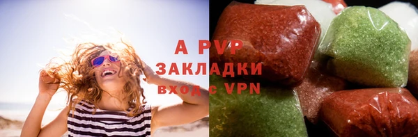 хмурый Пересвет
