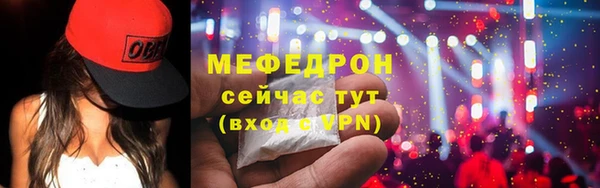 хмурый Пересвет
