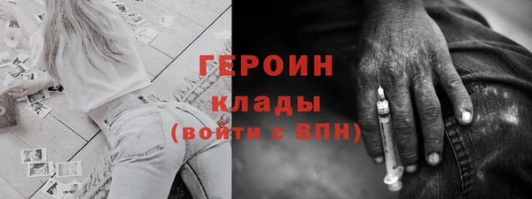 хмурый Пересвет