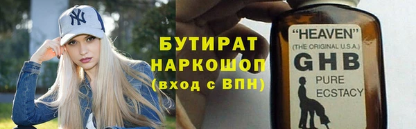 хмурый Пересвет