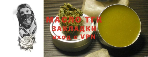 хмурый Пересвет