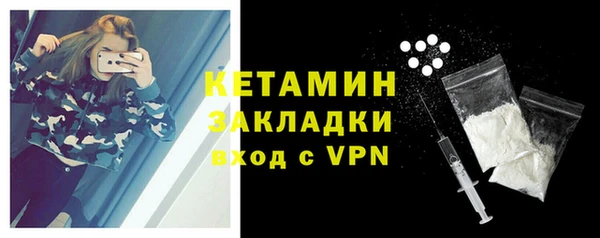 хмурый Пересвет