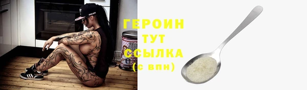 хмурый Пересвет