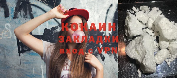 дживик Пестово