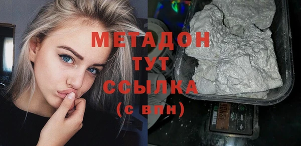 хмурый Пересвет