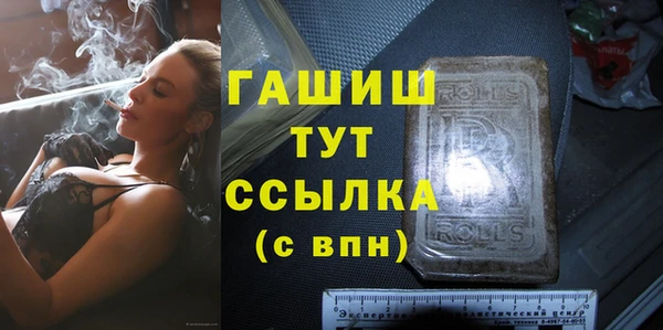 хмурый Пересвет