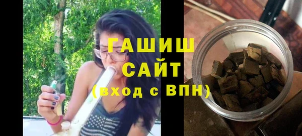 хмурый Пересвет
