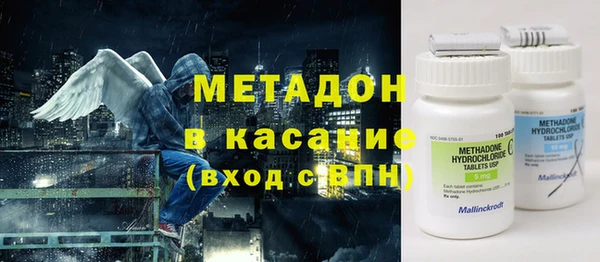 хмурый Пересвет