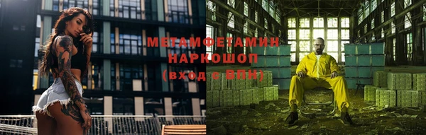хмурый Пересвет