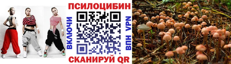 где купить наркоту  Холм  Галлюциногенные грибы мухоморы 